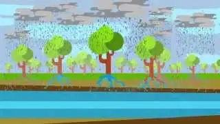 V&iacute;deo Conscientiza&ccedil;&atilde;o - Conex&atilde;o &Aacute;gua