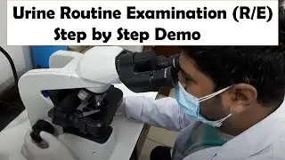 Urine Routine Examination Step by step Demonstration