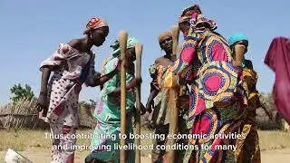 The Case for Stabilization: Lake Chad Basin