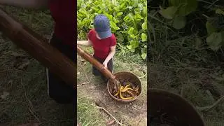 Amazing Eel Trap With Survival Skills To Catch Giant Eel Fish 👏