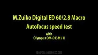 Olympus M.Zuiko Digital ED 60/2.8 Macro &ndash; Тест скорости автофокусировки