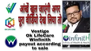 Vestige I Ok Lifecare I Winfinith Payout according to Sale by Gulshan Verma 9650202255
