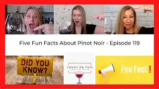 Five Fun Wine Facts About Pinot Noir - Crush On This Episode 119