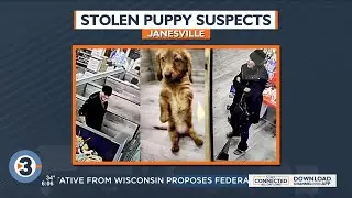 Janesville police ask for help in identifying dognapping suspects