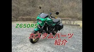 【Z650RS】カスタムパーツ紹介