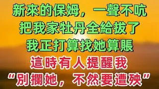 新來的保姆一聲不吭把我家牡丹全給拔了，我正打算找她算賬，這時有人提醒我：別攔她了，不然你要遭殃！！「情感故事」