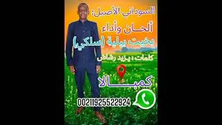 السوداني الأصيل.  الفنان بخيت بيلية (سلكي)