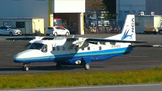 New Central Air Service Dornier Do-228 plane spottting at Chofu airfiled.