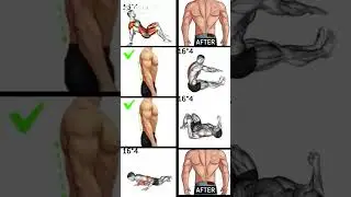 Back WORKOUT EXERCISE 💪🏼 No Equipment #viral #motivation #ytshorts