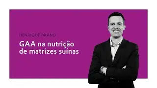 GAA na nutri&ccedil;&atilde;o de matrizes su&iacute;nas | Evonik