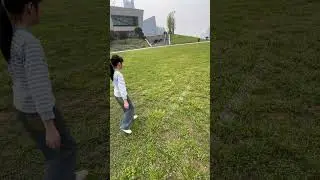 Drone Aerial Photography Flying Squirrel Training Cute Pet's Confusing Behavior