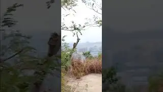 TSING YI COUNTRY PARK