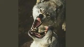 Raw Instinct (Slowed)