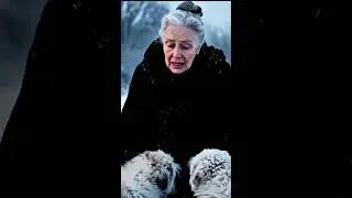 Old Woman Rescues Freezing Persian Puppies | Heart Touching Animal Rescue#animals #rescue