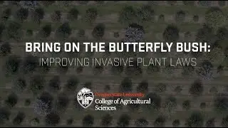 Bring on the Butterfly Bush: Improving Invasive Plant Laws
