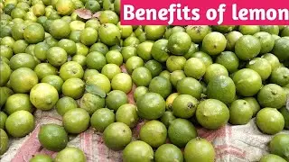 10 Surprising Health Benefits of Lemons You Need to Know