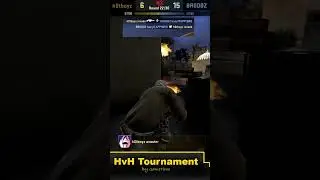 ONE OF THE GREATEST HVH MOMENTS FROM 2017