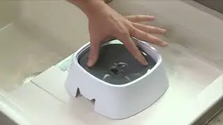 Slow Water Drinking Bowl for Dogs
