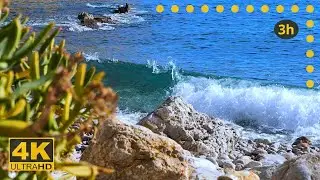 Secret Cove 4K: Ocean Waves for Anxiety Relief | WHITE NOISE