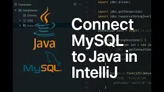 Creating a MySQL Database in IntelliJ IDEA for a Java Project
