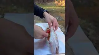 preparing baked pike perch #outdoorcooking #pikeperch #pikefishing #cookingvlog #cookingchannel