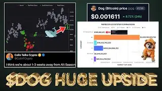 $DOG UPSIDE IS HUGE (MACRO DATA REVEALED)