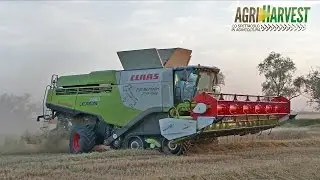 Claas Lexion 780 TT (2016 Version) wheat harvest - FIRST IN ITALY - 4K
