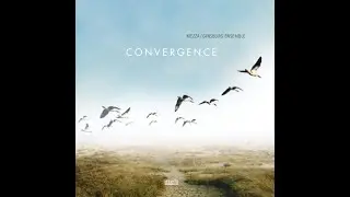 MEZZA/GINSBURG ENSEMBLE CONVERGENCE