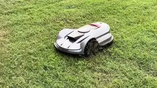 Sunseeker X7 Pro - Sunday Morning Robotic Mowing | Warrior Mowbotics