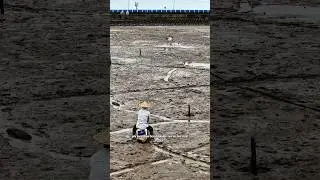 teknik mancing ini butuh skill dewa #shortvideo #tranding #trandingshorts #mancing