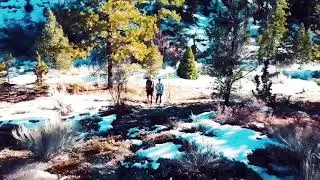 Hidden Forest Trail, NV