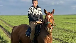 Обычный день колхозников