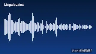 Megalovaina remix (100 sub special)