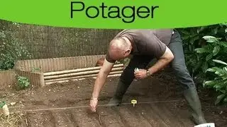 Apprendre à semer des légumes dans son potager