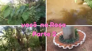 TOUR NA  ROÇA  PARTE 2 / SIMPLICIDADE NATUREZA.