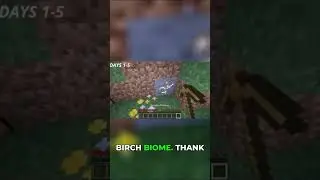 My Beautiful Birch Biome Spawn! Thanks All!