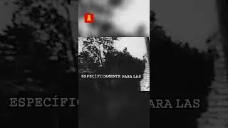 El Serbosijek: El Cuchillo del Genocidio Ustasja #shorts