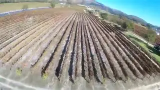 FPV South Africa - Freestyle at Vrede en Lust, Cape Town