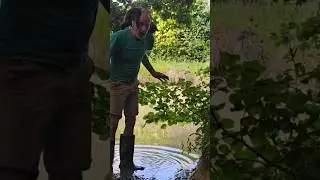 Liner-free ponds take a few years to fully establish #permaculture #ponds #cat #gardening