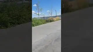 лёгкая велопрогулка по набережной #artist #bicycle #summer