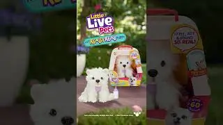 Meet My Really Real Puppy!