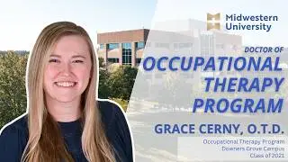 Celebrating Milestones in Occupational Therapy
