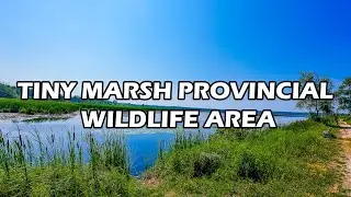 VISITING TINY MARSH PROVINCIAL WILDLIFE AREA!🌾🌿🏞️