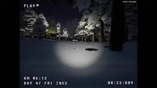 Voices of the Void Day 47 Crime scene  - piggies vs invisible alien (?)