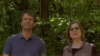 Vibrational communication