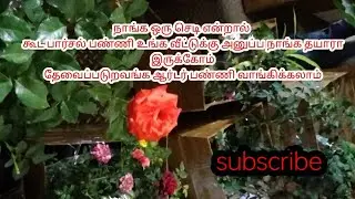 Today's parcel online sale plants Sai hi-tech Nursery Garden#onlineplants#all over India delivery