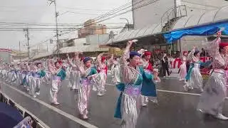 DDよさこいチーム　高知よさこい祭り2025升形競演場1日目