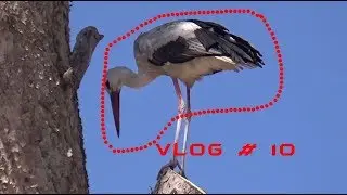 Vlog # 10 à Ras El Oued