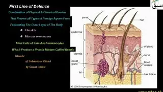 First Line of Defence , Biology Lecture | Sabaq.pk |