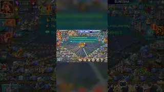 Paladin No Damage 🌝#lordsmobile #elneisha